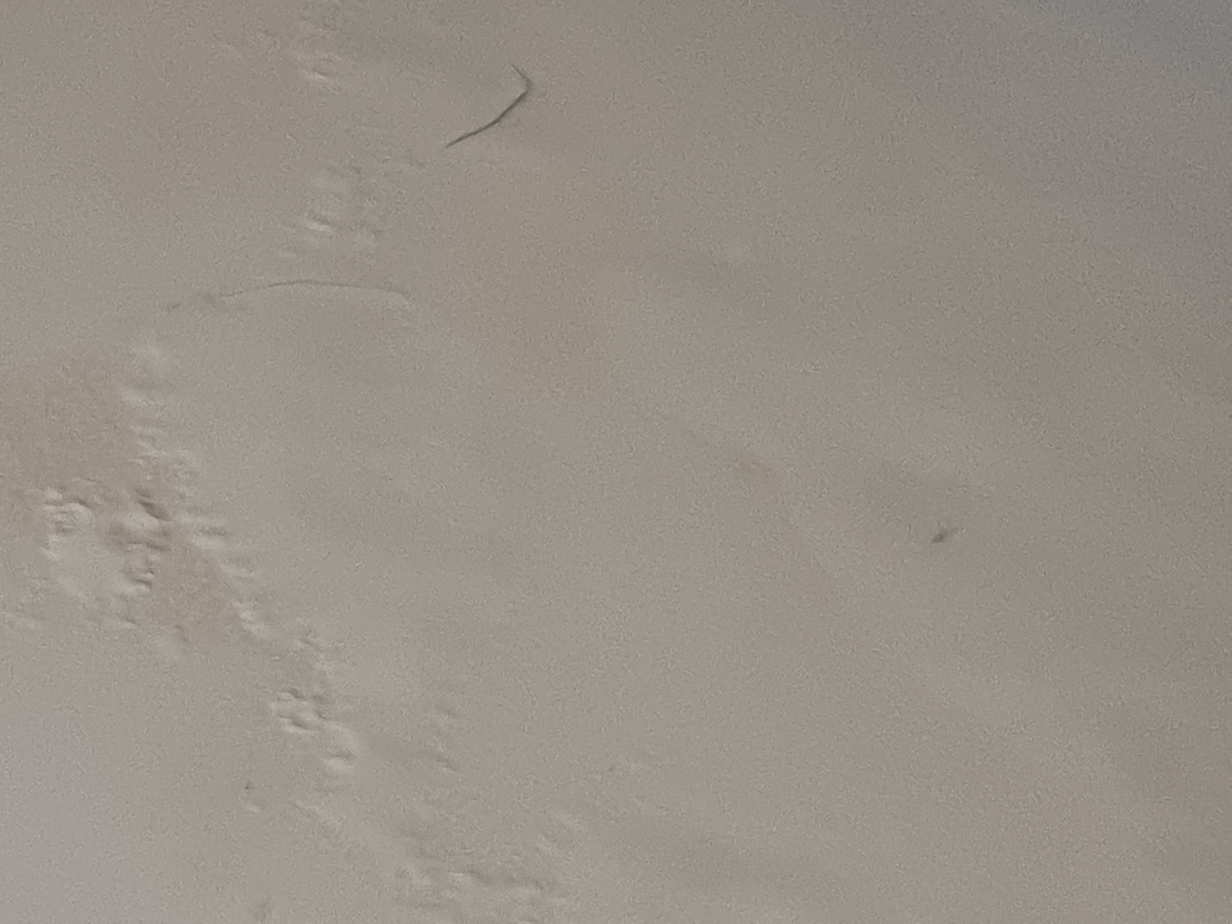 M&eacute;s goteres al menjador