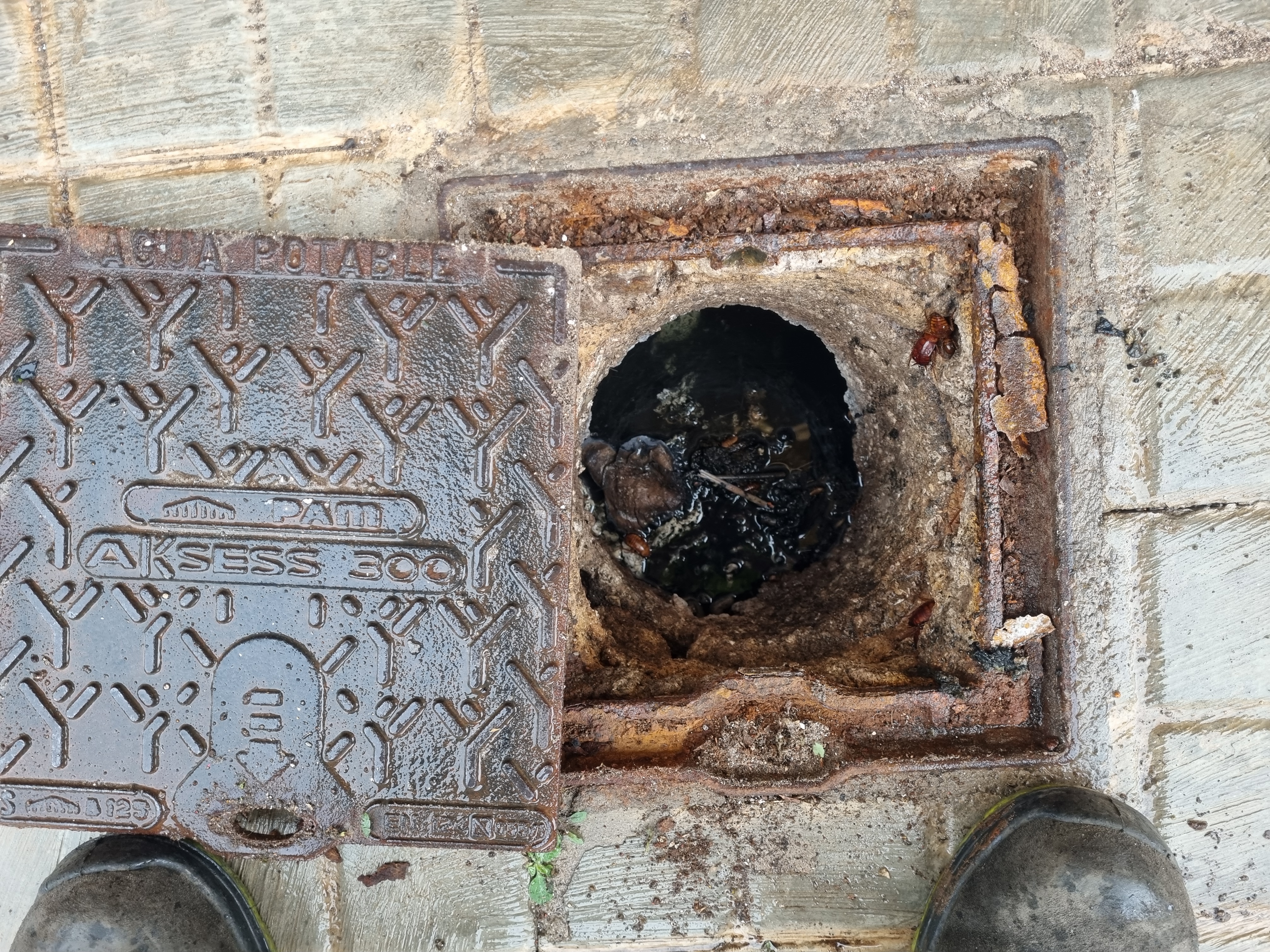 Escomesa d'aigua potable.