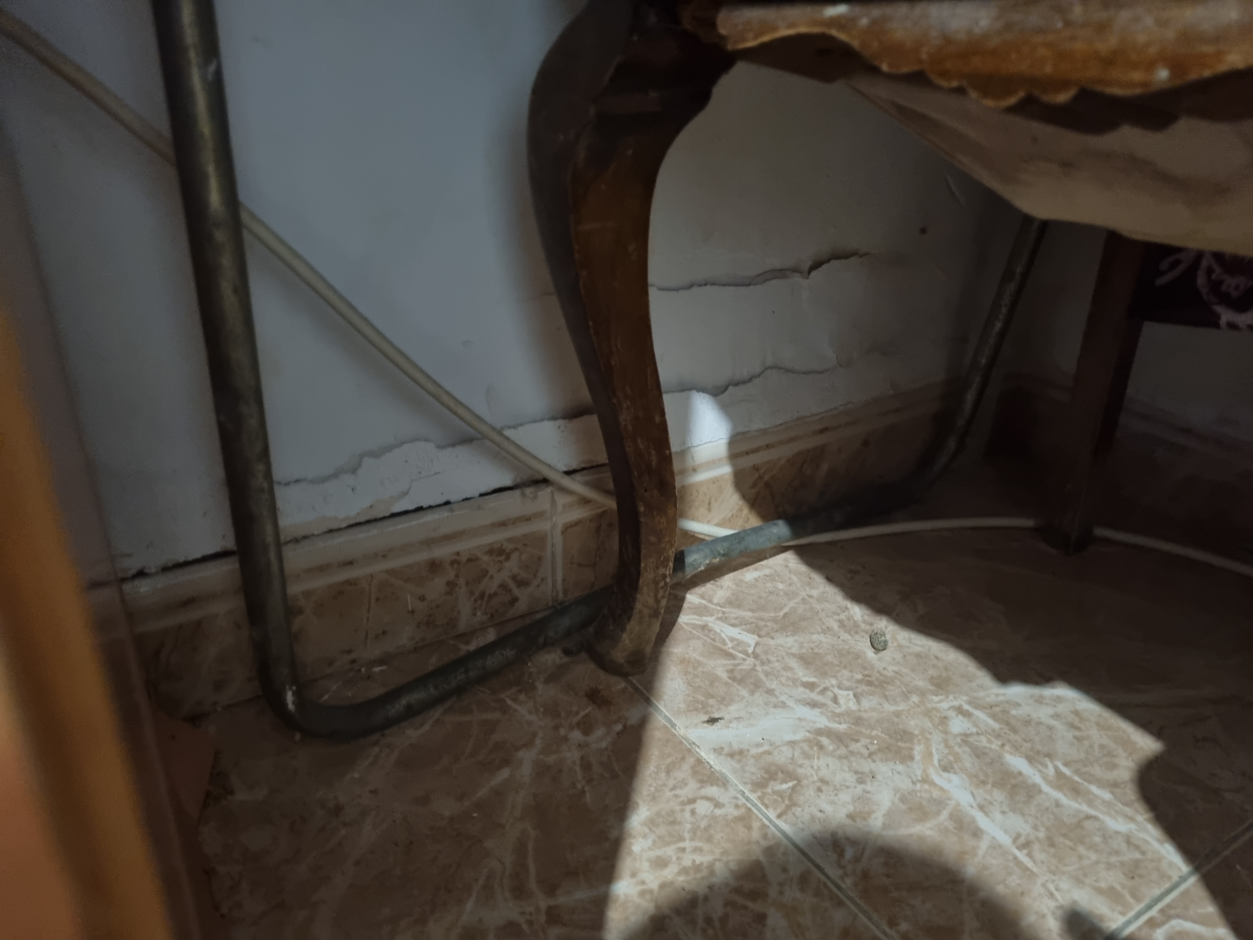 Descrostades i humitats.