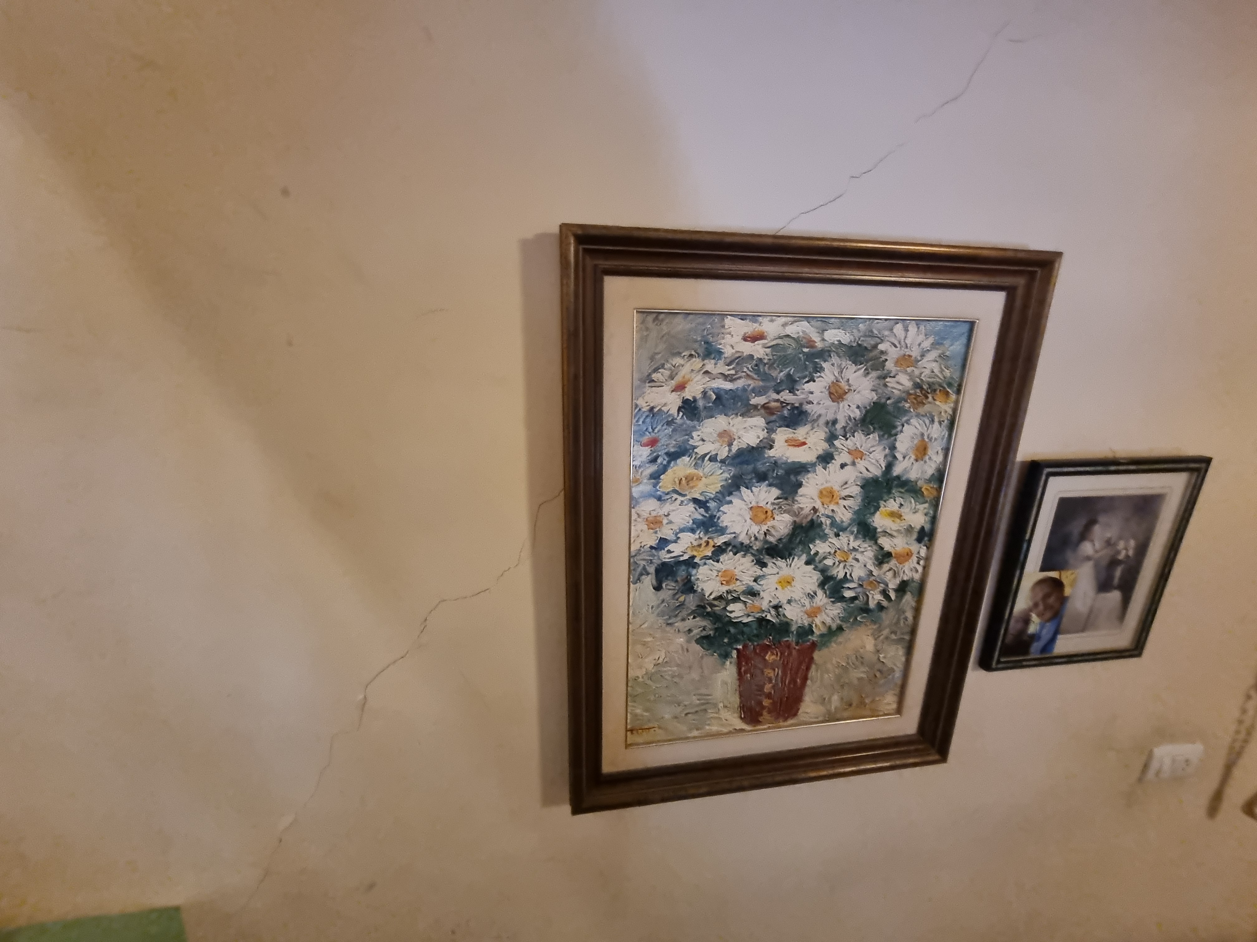 Esquerdes estructurals vives